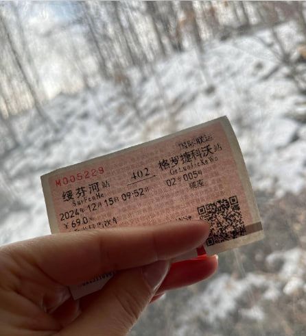 Билет на поезд № 402 Гродеково-Суйфэньхэ. Фото: Biang.ru