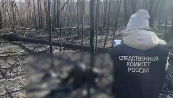 Трое спасателей, пропавших 2 недели назад в Забайкалье, сгорели в лесном пожаре. Фото: t.me/susk_75