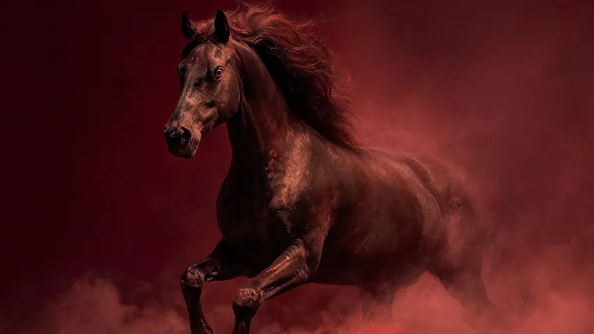 По восточному календарю, год Красной Огненной Лошади начнется 17 февраля 2026 года. Фото сгенерировано нейросетью Midjourney