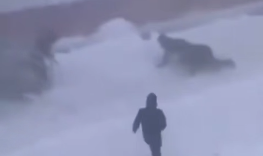 На Чукотке ветер с порывами 50 м/с сносит крыши с домов и сбивает людей с ног. Фото: @breakingmash