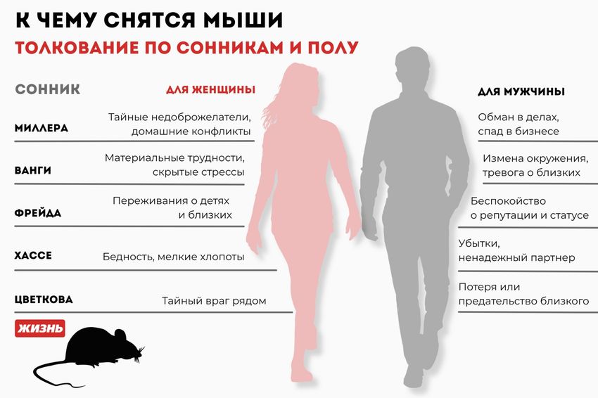 К чему снятся мыши: толкование по сонникам и полу. Коллаж: Гавришева Анна
