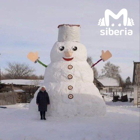 На Алтае одна семья за полмесяца слепила пятиметрового снеговика. Фото: t.me/mash_siberia
