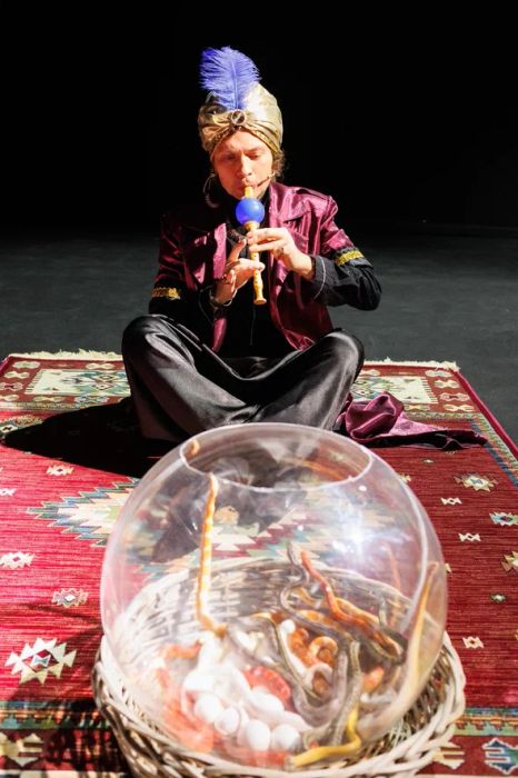 И змеи тоже будут! Фото предоставлено пресс-службой СТС 