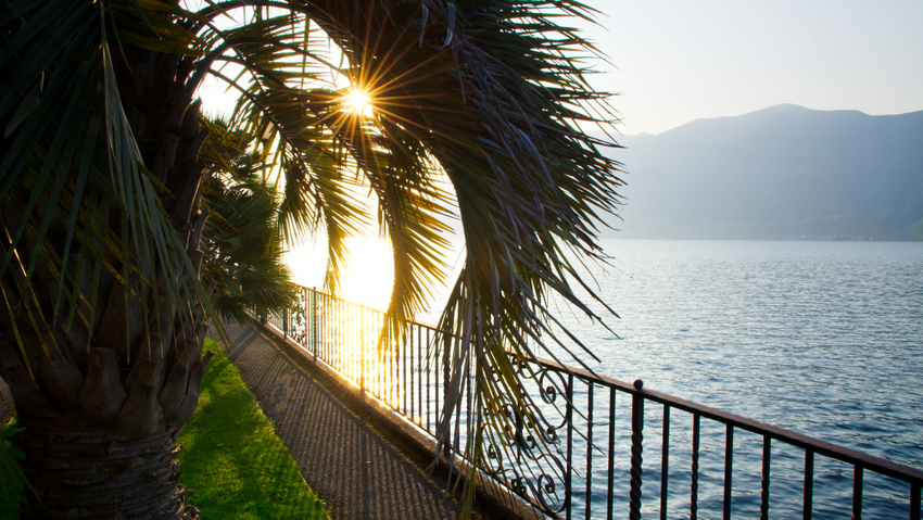 Погода в Анапе в ноябре 2025 года будет прохладной в отличие от Сочи. Фото: freepik.com