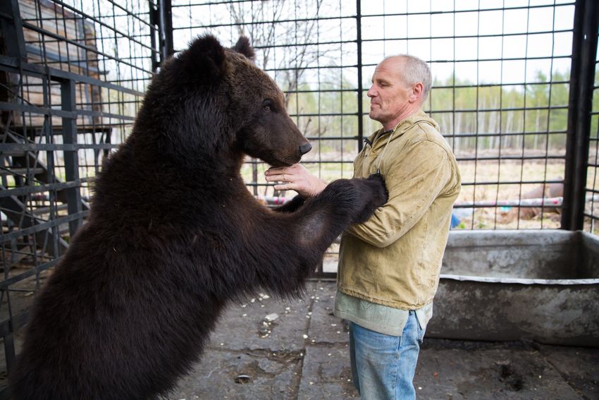 Фото: мишкинаберлога.рф