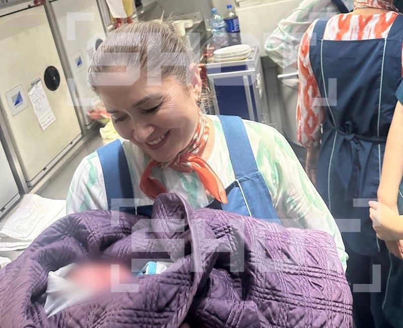 Новорожденный, появившийся на свет в небе над Гренландией. Фото: @shot_shot