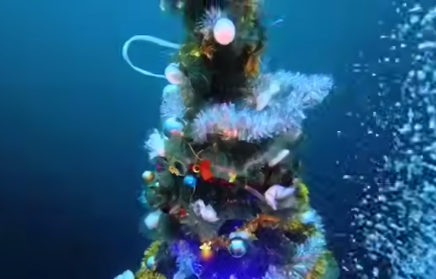 Иркутские дайверы нарядили елку на дне Байкала и устроили вокруг нее хоровод. Фото: t.me/babr_mash