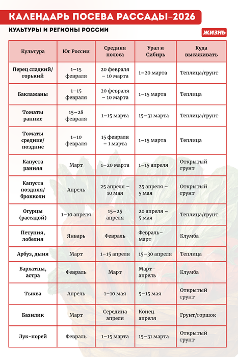 Календарь посева рассады в 2026 году. Коллаж: Гавришева Анна