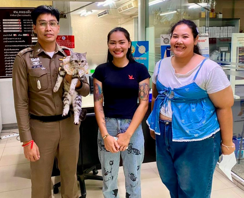 Фото: t.me/shot_shot