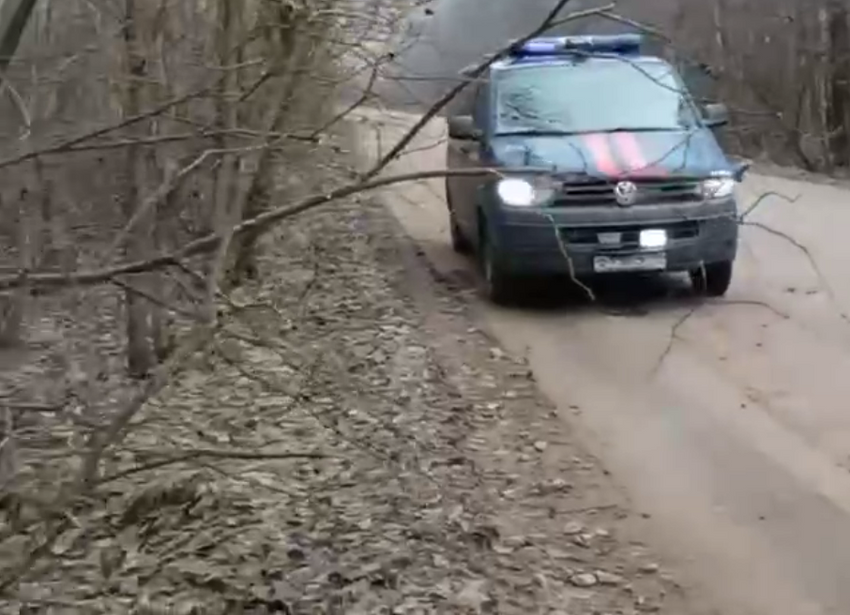 Под Питером участники субботника нашли спортивную сумку, а в ней - тело девушки. Фото: t.me/mashmoyka