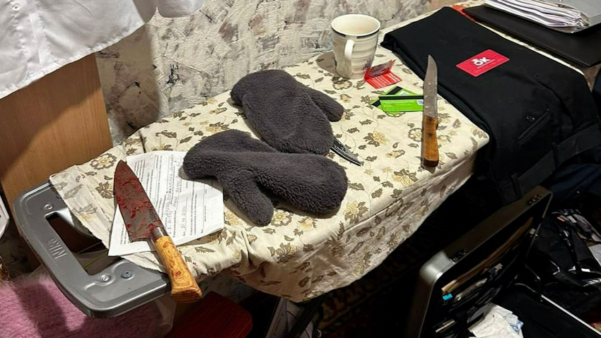 В Новосибирске невестка воткнула нож в шею свекрови и ранила 11-летнего сына. Фото: @t.me/prokuratura_nso