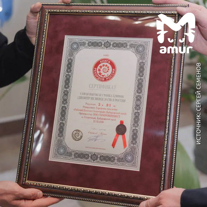 Фото: t.me/amur_mash